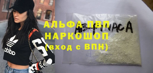 стаф Аркадак
