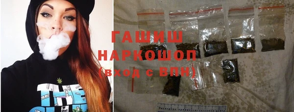 стаф Аркадак