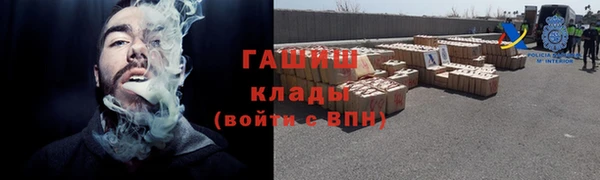 стаф Аркадак