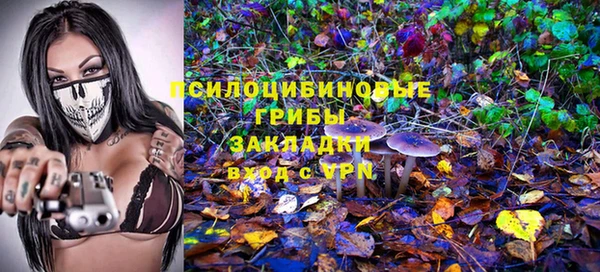 мет Арсеньев