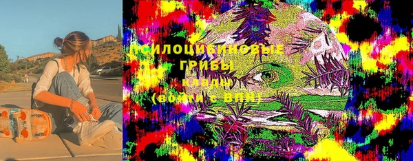 мет Арсеньев