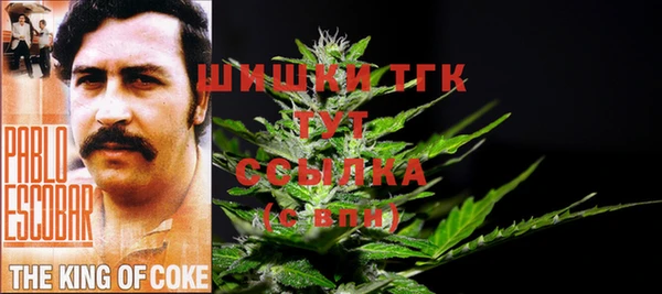 стаф Аркадак