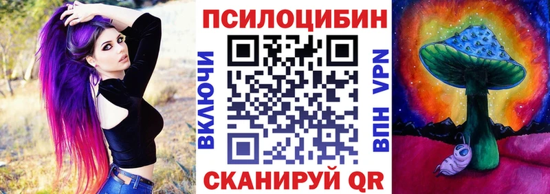 площадка клад  где купить наркоту  Орёл  Псилоцибиновые грибы Psilocybe 